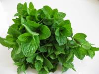MINT BUNCH
